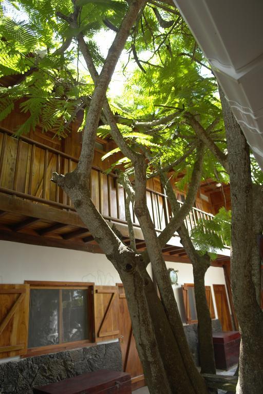 The Wooden House Hotel Puerto Villamil Dış mekan fotoğraf
